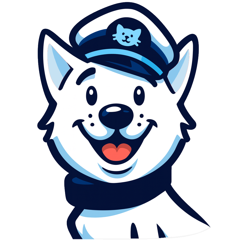 Video Surveillance Software SmartVision